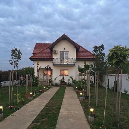 Hotel Blue Sky House Balotesti Esterno foto
