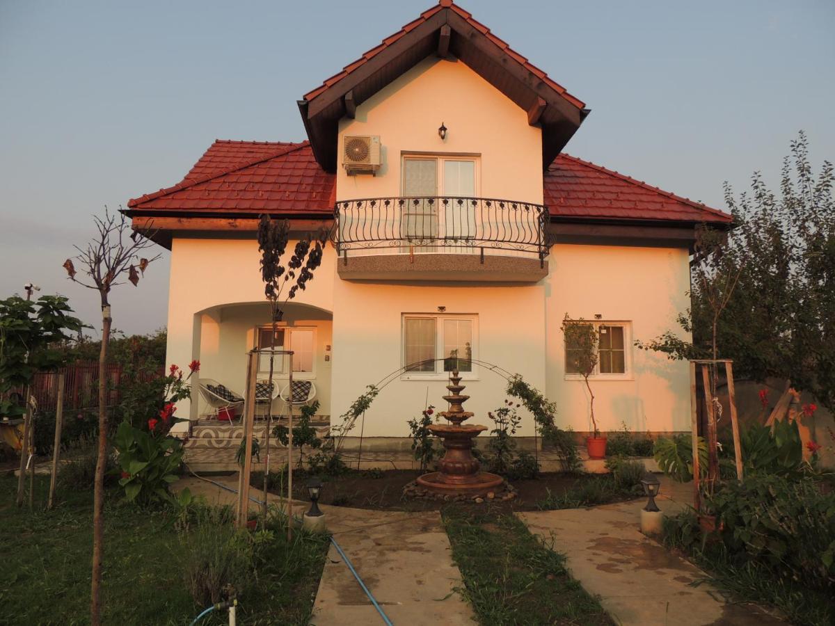Hotel Blue Sky House Balotesti Esterno foto