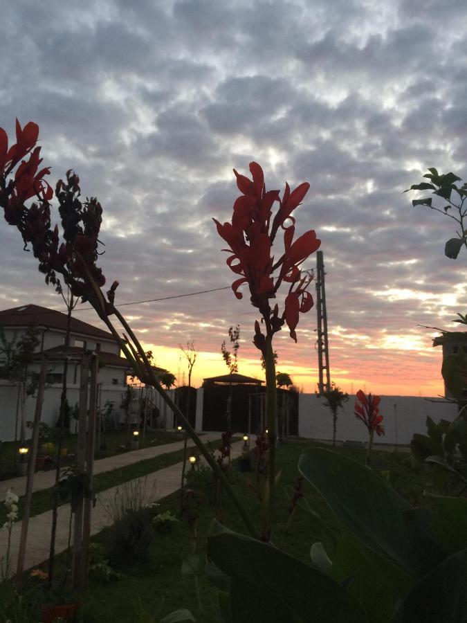 Hotel Blue Sky House Balotesti Esterno foto
